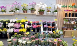 Nhiều phụ nữ từ chối nhận hoa để gửi ủng hộ người dân miền Trung.