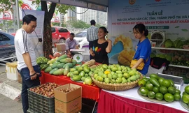 Vào hè, trái cây vùng miền đổ bộ hội chợ trái cây, nông sản Hà Nội