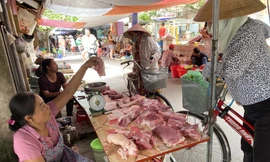 9.000 con lợn sống Thái Lan về Việt Nam bán ở đâu?