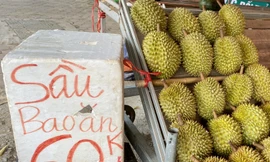 Hoa quả siêu rẻ tràn vỉa hè Hà Nội