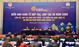 Phó Thủ tướng Trịnh Đình Dũng phát biểu tại Diễn đàn.