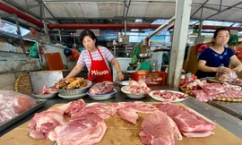 Lợn hơi liên tiếp giảm, lợn thành phẩm vẫn 'cố thủ' giá cao
