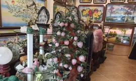 Trăm triệu sắm đào thạch anh, mai mã não trưng Tết