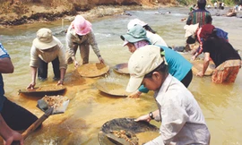 Đào đãi vàng trái phép trên khe Tăng (Phước Sơn, Quảng Nam)	Ảnh: Nam Cường