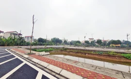 Cận cảnh khu đất đấu giá nhiều sai phạm ở Hà Nội