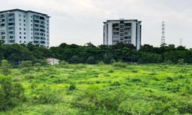 HUD lên tiếng việc chậm xây dựng trường học tại nơi có học sinh đông nhất Thủ đô