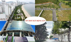 Đền bù gần 1 tỷ đồng/m2 khi thu hồi đất, 'lệnh' báo cáo thanh tra dự án nhà ở chuyển đổi từ đất công