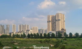 Chuyên gia chỉ 5 nút thắt tháo gỡ để xây dựng khung giá đất sát thị trường