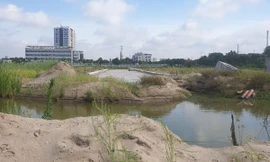 Dự án bán chưa đủ điều kiện, loạt địa phương vào cuộc chấn chỉnh