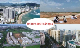 Bỏ cọc sau trúng đấu giá 'trên trời', dự án 'đất ở không hình thành đơn vị ở' cấp sai phải thu hồi