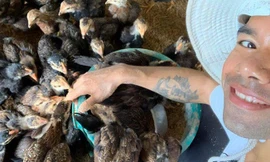 Cuộc sống chăn nuôi của chàng trai dân tộc Chu Ru giành Quán quân Vietnam Idol 