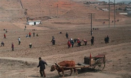 LHQ kêu gọi viện trợ 200 triệu USD cho Triều Tiên