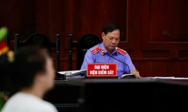 Luật sư xin nêu 'tình tiết mới', xin giảm án cho bà Nguyễn Phương Hằng