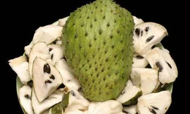 Mãng cầu gai ngừa bệnh ung thư, tim mạch