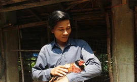 Cử nhân nuôi chim trĩ