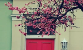 London dịu dàng trong mắt du học sinh Việt