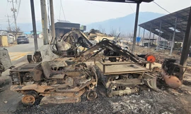 Cô dâu Việt gần trắng tay sau trận cháy rừng lịch sử ở Hàn Quốc