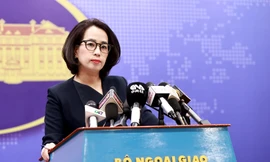 Người phát ngôn Bộ Ngoại giao Phạm Thu Hằng. (Ảnh: PH)
