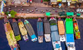 Chợ hoa'trên bến dưới thuyền' ngập tràn sắc xuân trước giờ khai mạc