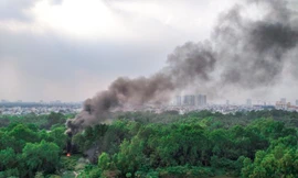 Hàng chục hộ dân bị 'đầu độc' khói đốt rác suốt nhiều năm