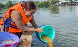 Đi ghe ra giữa sông thả cá phóng sinh