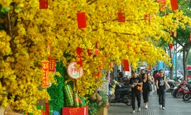 Nhiều điểm vui chơi tại TPHCM gấp rút trang trí đón năm mới 2023