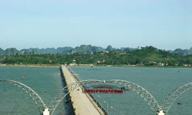 'Chúa đảo' Tuần Châu qua mắt báo Nhật