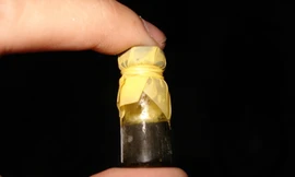 Mật gấu lên phim