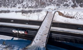 Cầu vượt trị giá 5 triệu USD dành riêng cho động vật