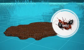 Bí quyết giúp kiến lửa sống sót qua lũ lụt