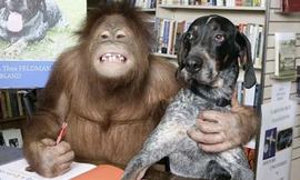 Đười ươi và chó... phát hành sách ảnh