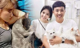 Nói mèo như thành viên gia đình, Hari Won gây tranh cãi gay gắt