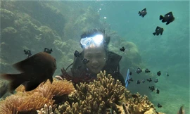 San hô ở vịnh Quy Nhơn bị tàn phá