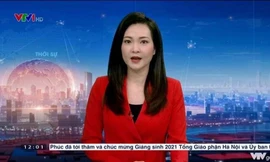 Nhan sắc trẻ đẹp của BTV miền Nam dẫn Thời sự 19h thay BTV Hoài Anh