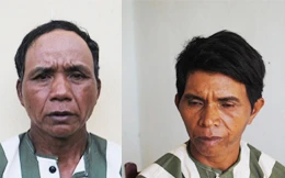 Khởi tố, bắt tạm giam hai đối tượng lấn chiếm đất đai