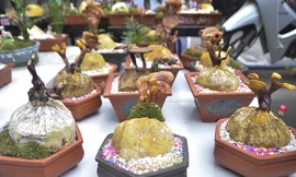 Gần 5 triệu đồng 1 chậu nấm linh chi bonsai chơi Tết ở Thủ đô