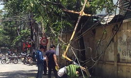 Thanh tời của vận thăng rơi trúng hàng trà đá.