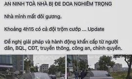 Hàng loạt ô tô ở chung cư Hà Nội bị vặt gương