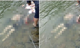 Hiện trường vụ việc.