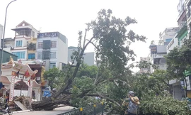 Hiện trường vụ việc. Ảnh: Facebook