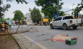 Hiện trường vụ việc thương tâm.