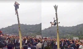 Hình ảnh cắt từ video.