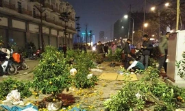 Hàng loạt cây quất bị người dân bỏ lại vào tối 30 Tết tại khu vực đường Tố Hữu kéo dài.