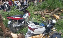 Hiện trường vụ việc.