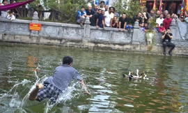 Hàng năm, sau phần tế lễ khai hội xuân, hàng trăm người dân đã tập trung tại hồ nước trước đình Vạn Phúc (Hà Đông, Hà Nội) để tham dự phần thi bắt vịt do đoàn thanh niên của phường Vạn Phúc tổ chức. Ảnh: Thanh Hà.