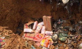 Số hàng hóa bị mang đi tiêu hủy.