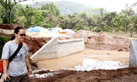 Bê tông hóa suối cổ tại Di sản thế giới Mỹ Sơn