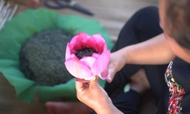 ‘Đệ nhất danh trà’ giá hàng chục triệu đồng/kg ở Hà Nội được làm như thế nào?