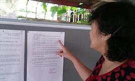 Tuyển sinh 'heo vàng': Nơi ngộp thở, chỗ hớn hở