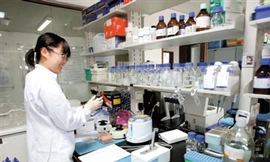 Trung Quốc: Xôn xao vụ tuyển sinh viên còn trinh